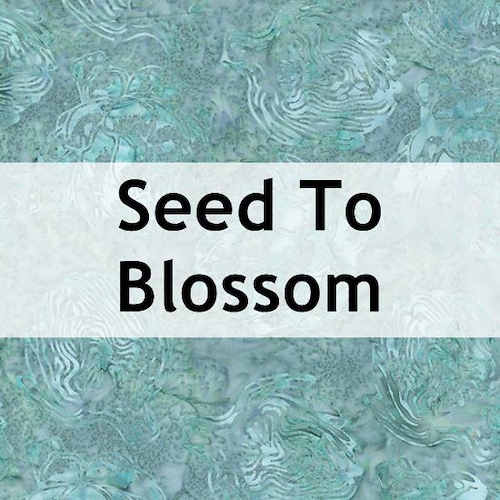 Seed To Blossom